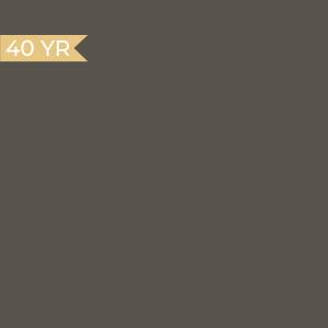 Burnished Slate